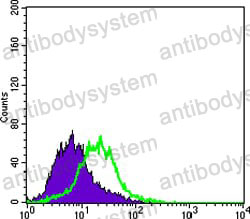 Anti-KRT15 Antibody (R3F09)