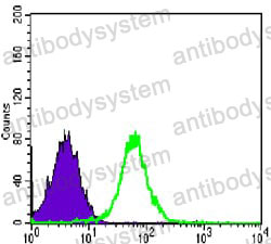 Anti-CD325/CDH2 Antibody (R3F14)