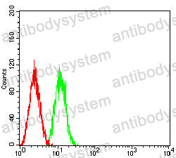 Anti-TSPAN8 Antibody (R3F15)