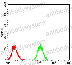 Anti-PLCG1 Antibody (R3F16)