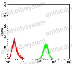 Anti-PLCG1 Antibody (R3F17)