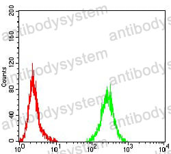 Anti-PLCG1 Antibody (R3F18)
