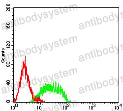 Anti-CD106/VCAM1 Antibody (R3F21)