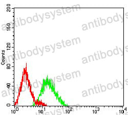 Anti-CD106/VCAM1 Antibody (R3F22)