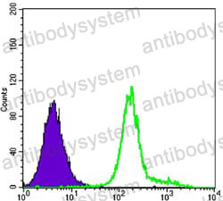 Anti-HK1 Antibody (R3F24)