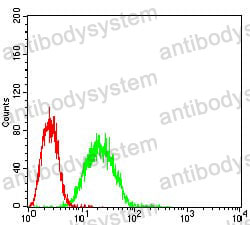 Anti-EIF2AK2 Antibody (R3F37)