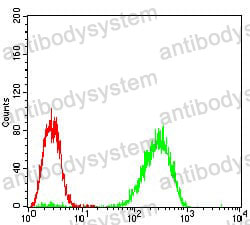 Anti-EIF2AK2 Antibody (R3F38)