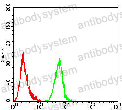 Anti-WT1 Antibody (R3F41)