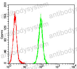 Anti-WT1 Antibody (R3F42)