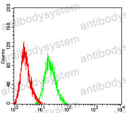 Anti-CD21/CR2 Antibody (R3F47)