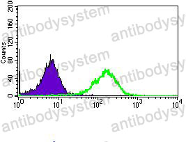 Anti-CD33 Antibody (R3F51)