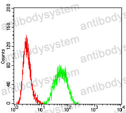 Anti-KLK2 Antibody (R3F53)