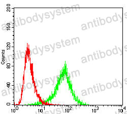 Anti-KLK2 Antibody (R3F52)