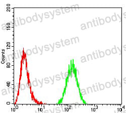 Anti-TBP Antibody (R3F54)