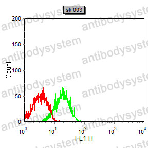 Anti-CHRM3 Antibody (R3F64)