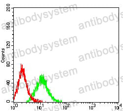 Anti-CHRM3 Antibody (R3F62)