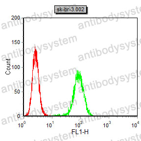 Anti-CHRM3 Antibody (R3F63)