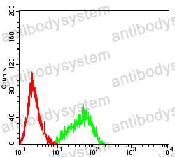 Anti-CD120b/TNFRSF1B/TNFR2 Antibody (R3F65)