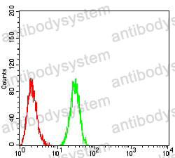 Anti-RAB3A Antibody (R3F67)