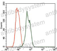 Anti-RAB4A Antibody (R3F68)