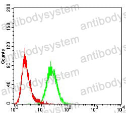 Anti-RAB5A Antibody (R3F69)
