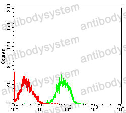 Anti-M6PR Antibody (R3F73)