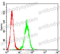 Anti-M6PR Antibody (R3F71)