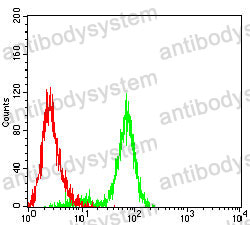 Anti-M6PR Antibody (R3F72)