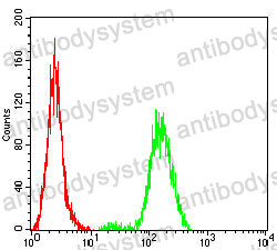 Anti-LMNB1 Antibody (R3F74)