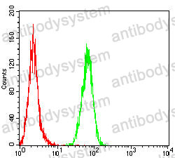 Anti-LMNB1 Antibody (R3F75)