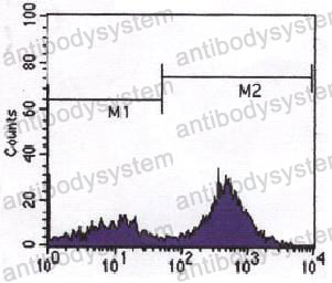 Anti-CD247/CD3Z Antibody (R3F79)