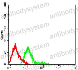 Anti-CD174/FUT3 Antibody (R3F81)