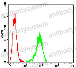 Anti-KITLG/SCF Antibody (R3F86)