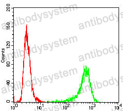 Anti-KITLG/SCF Antibody (R3F87)