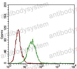 Anti-CD73/NT5E Antibody (R3F90)