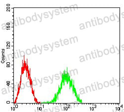 Anti-CD204/MSR1 Antibody (R3F93)