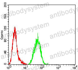 Anti-SDHB Antibody (R3F98)