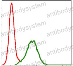 Anti-CD9 Antibody (R3G01)