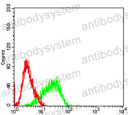 Anti-ACHE Antibody (R3G08)