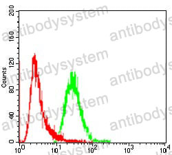 Anti-CD333/FGFR3 Antibody (R3G16)