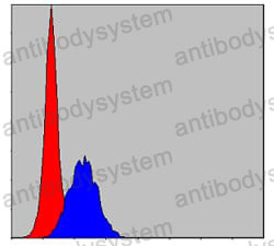 Anti-CBL Antibody (R3G21)