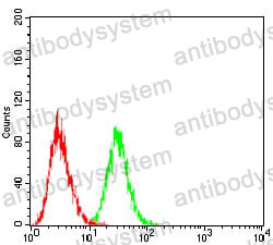 Anti-LHCGR Antibody (R3G22)
