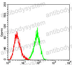 Anti-CD206/MRC1 Antibody (R3G24)