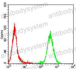 Anti-CD206/MRC1 Antibody (R3G25)