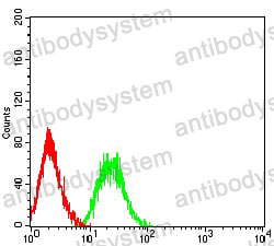 Anti-PTPRD Antibody (R3G37)