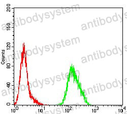 Anti-GATA3 Antibody (R3G45)