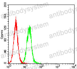 Anti-GATA3 Antibody (R3G47)