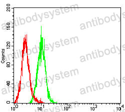 Anti-CCND1 Antibody (R3G56)