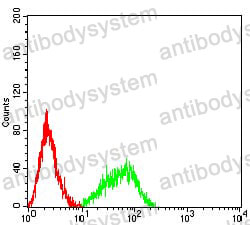 Anti-CD182/CXCR2 Antibody (R3G65)