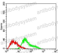 Anti-APC Antibody (R3G66)